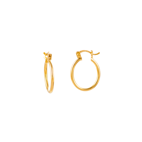 SOLID GOLD OVAL HOOPS