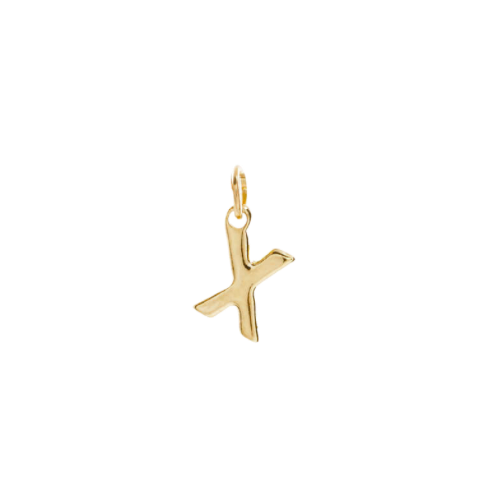 Initial X Charm