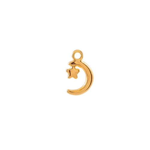 Moon And Star charm in 22K gold-plated finish