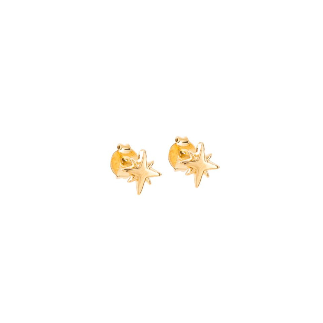 Be the star of any outfit with our North Star Studs. These stellar studs are the perfect addition to any jewelry collection, adding a touch of celestial charm and sparkle to your look. Shine bright with these star-shaped studs!
Material: 14K gold plated