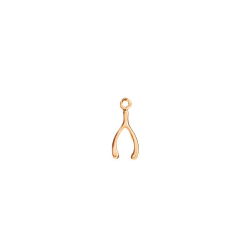 Wishbone charm in 22K gold-plated finish