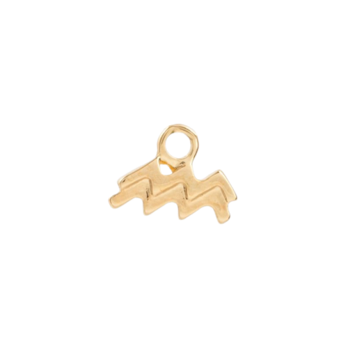 Aquarius zodiac charm in 22K gold-plated finish