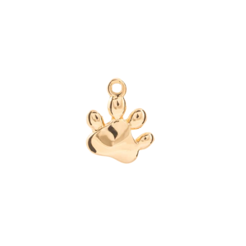 Paw Charm