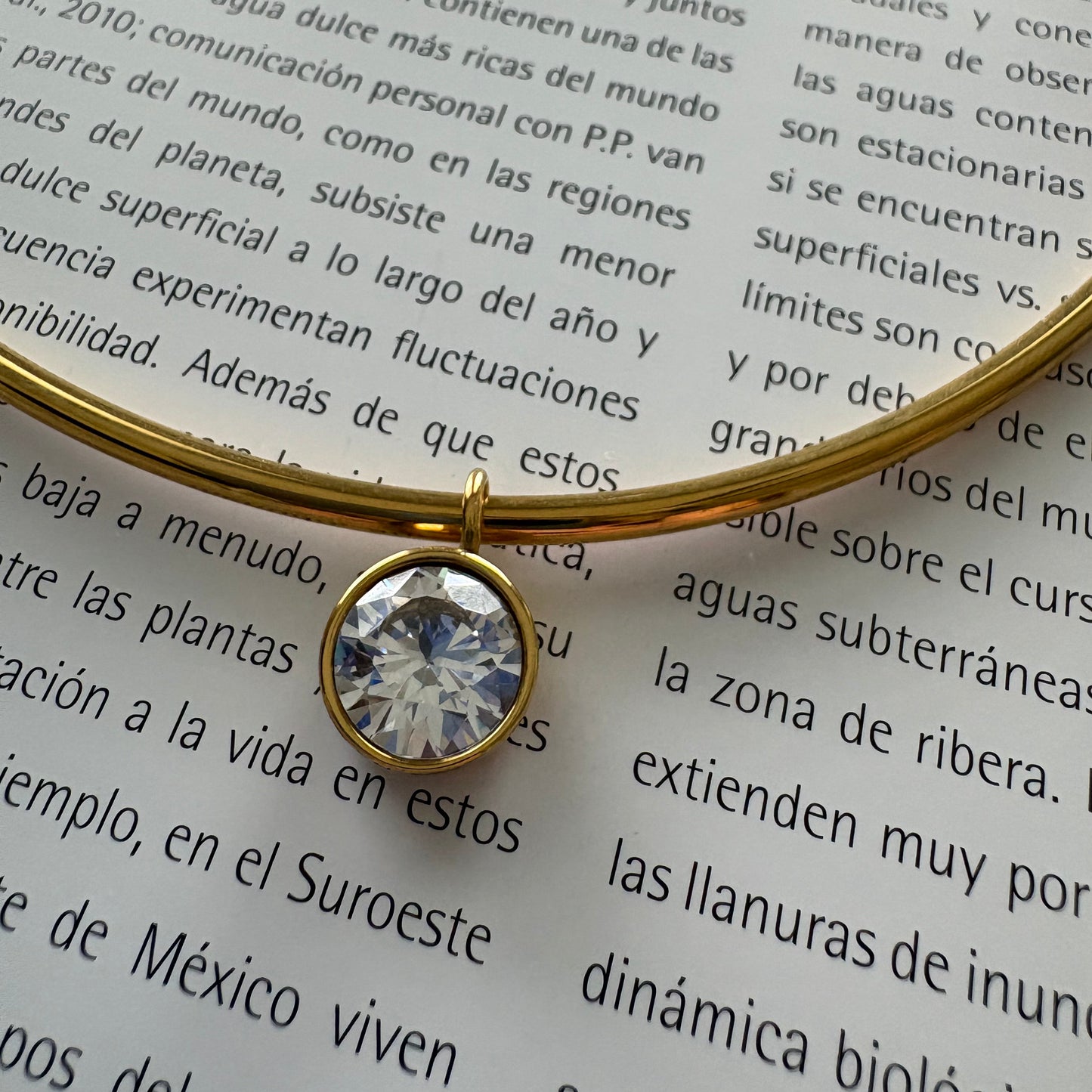 Caroline round zircon collar necklace worn on neck