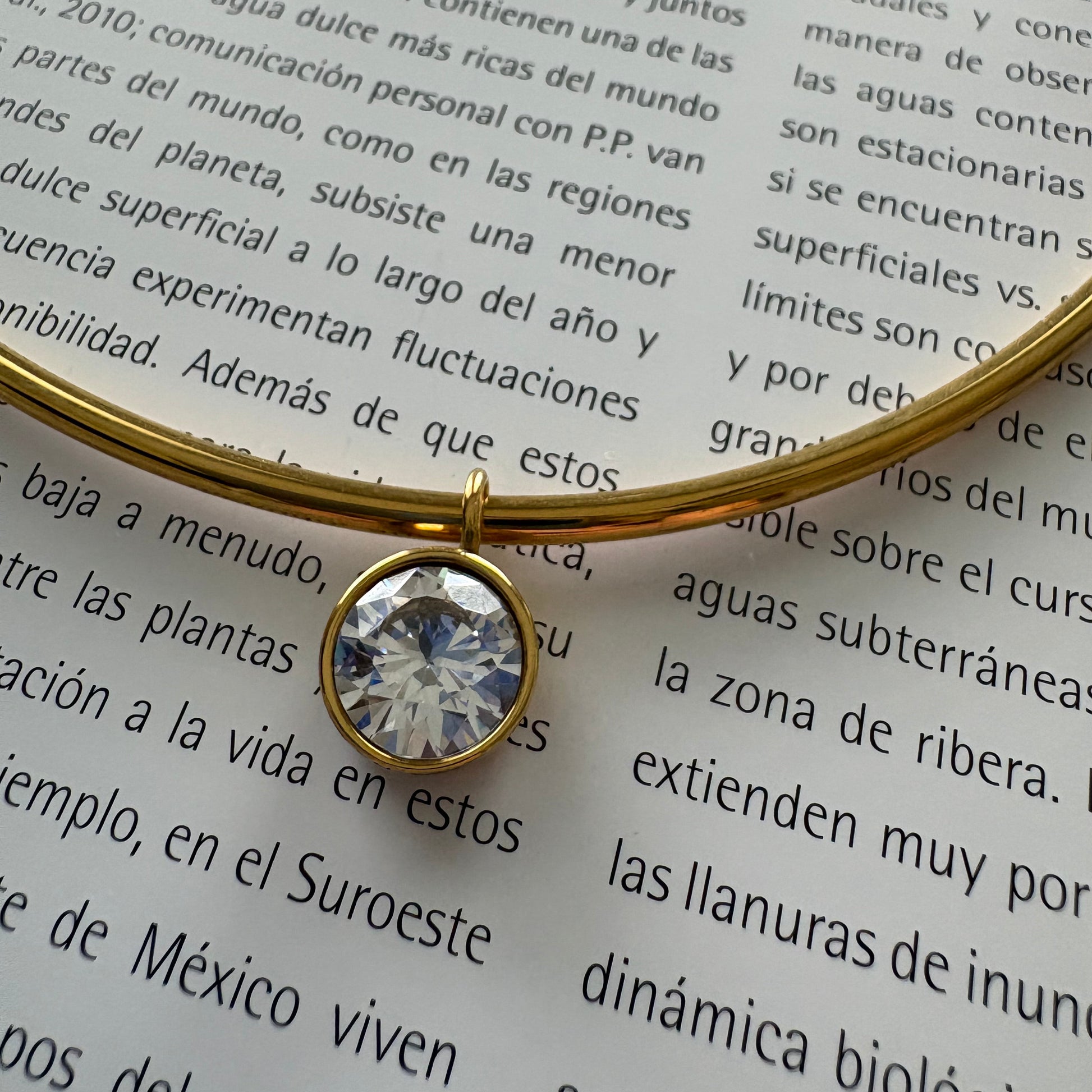 Caroline round zircon collar necklace worn on neck