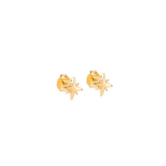 Be the star of any outfit with our North Star Studs. These stellar studs are the perfect addition to any jewelry collection, adding a touch of celestial charm and sparkle to your look. Shine bright with these star-shaped studs!


Material: 14K gold plated