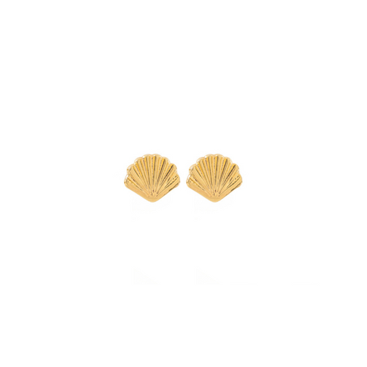 Add a touch of beachy charm to any outfit with our SEA SHELL STUDS. These golden studs are perfect for those who love to embrace their inner mermaid (or merman)!

Bring some coastal vibes to your wardrobe with these quirky and playful earrings. (Your sea-faring friends will be envious.) Hello Summer 2024! 🏝️

Material: 14K gold plated