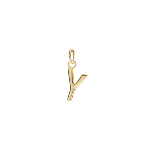 Initial Y Charm