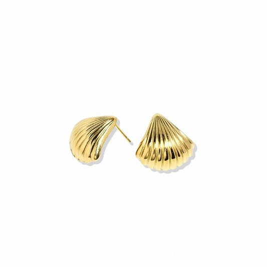Small Golden Shell Earrings