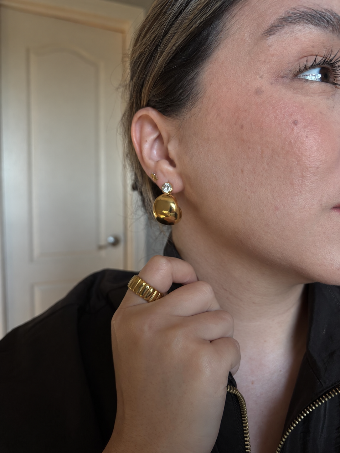 Bianca Chubby Zircon Hoop Earrings
